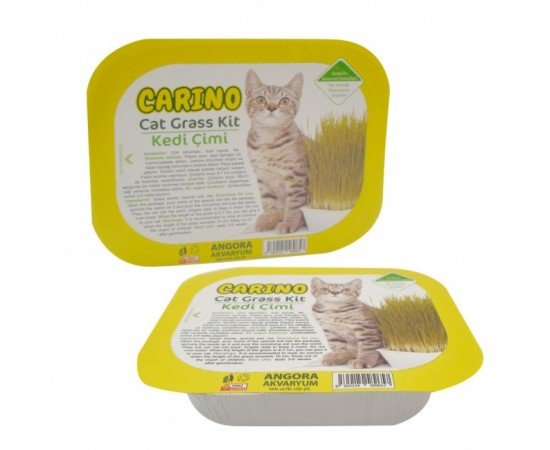 Carino Gerçek Topraklı Kedi Çimi Fileli